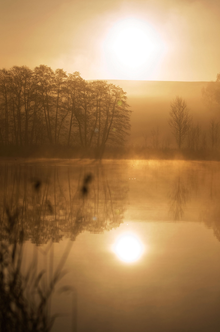 Sonnenaufgang über dem Teich