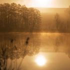 Sonnenaufgang über dem Teich