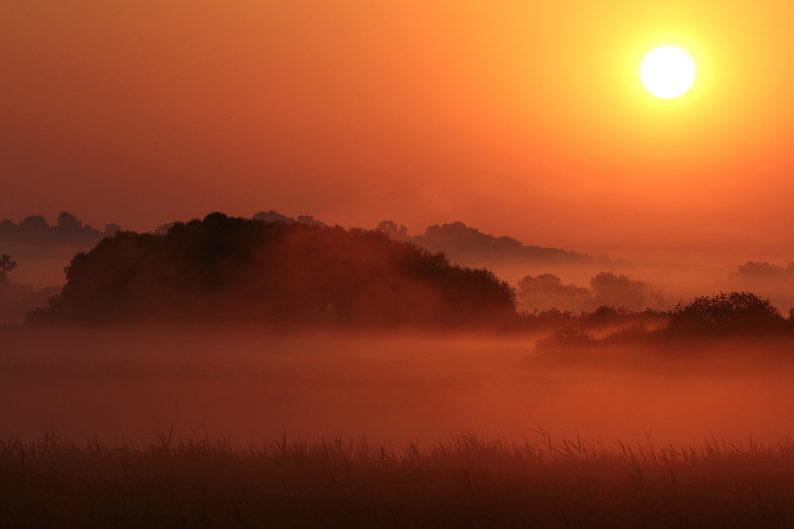 Sonnenaufgang über dem Tollensetahl