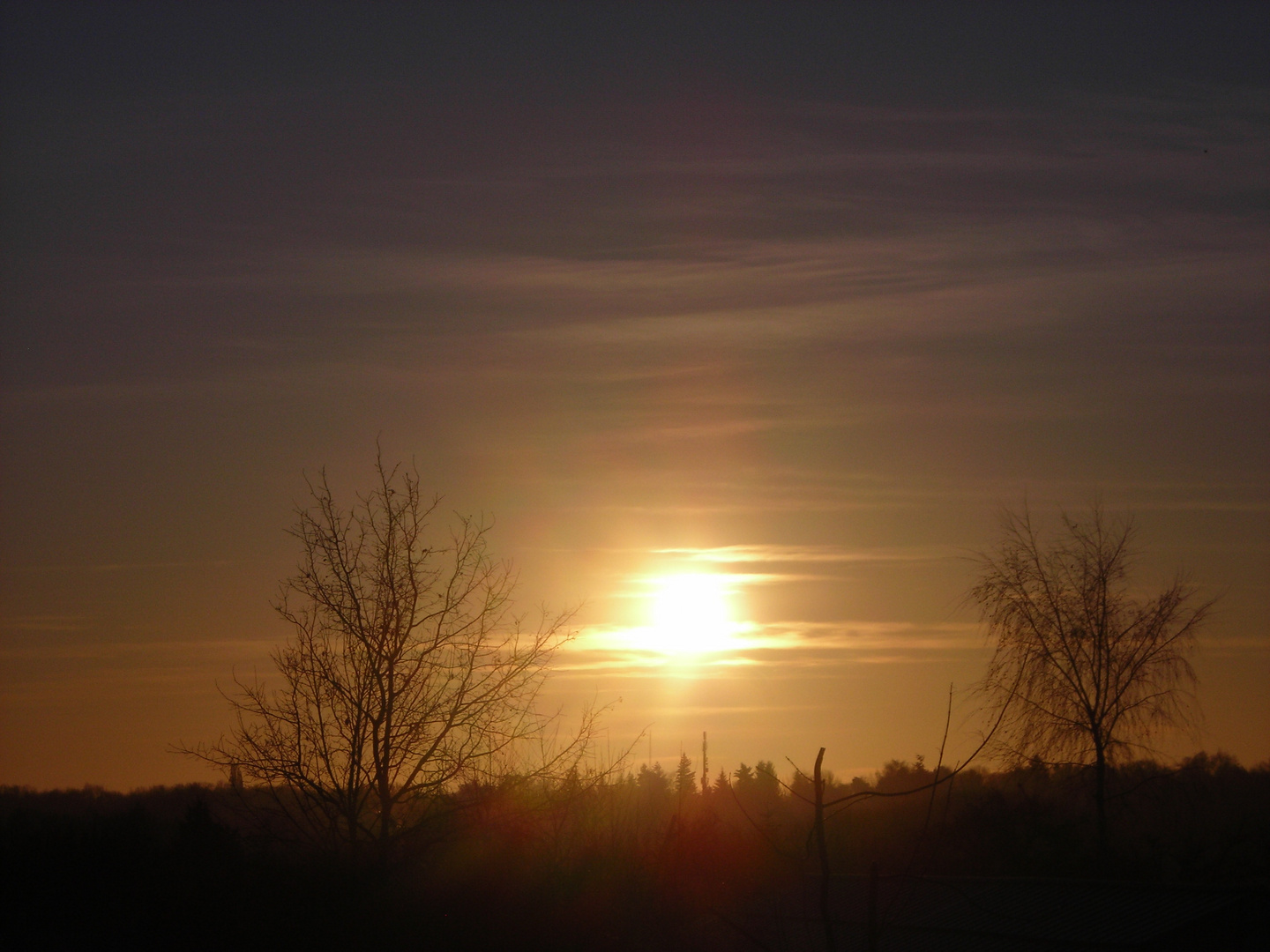 Sonnenaufgang über dem Wald