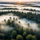 Sonnenaufgang über dem Wald (KI-Szene)