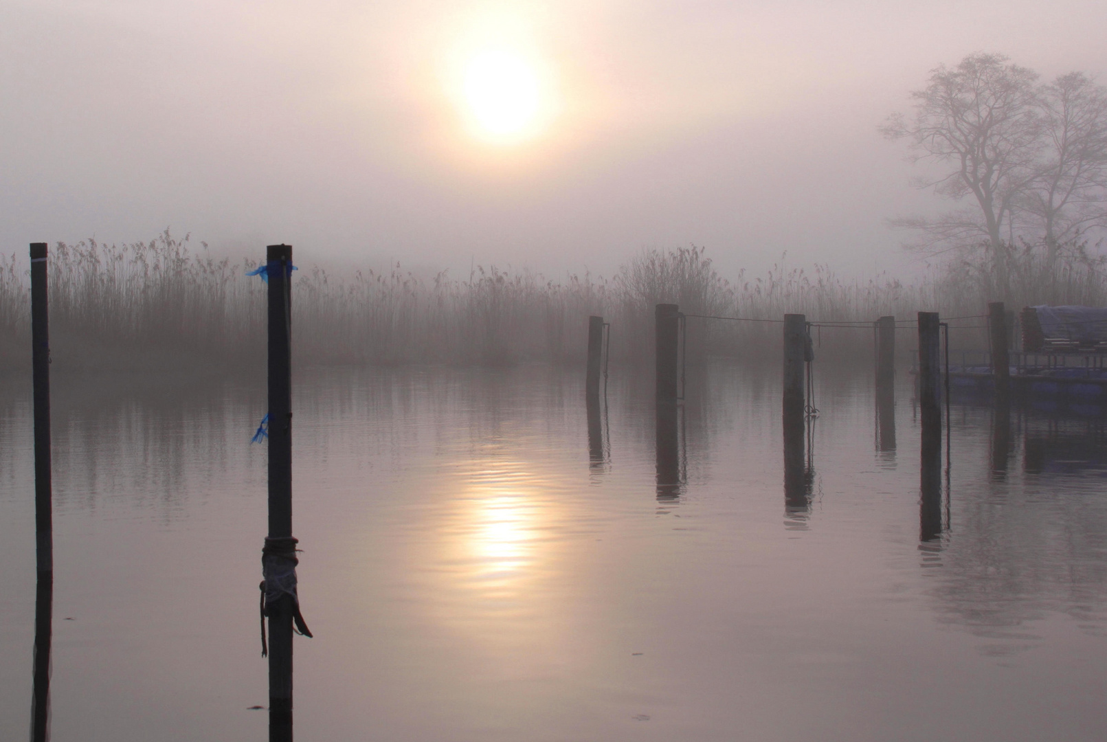 Sonnenaufgang über dem Wallersee