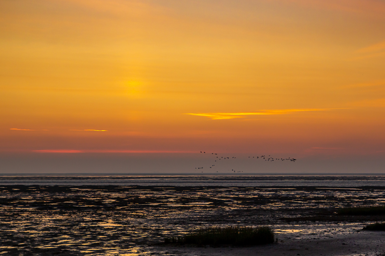 Sonnenaufgang über dem Watt