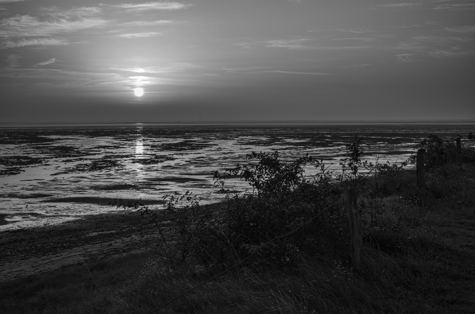 Sonnenaufgang über dem Wattenmeer -1