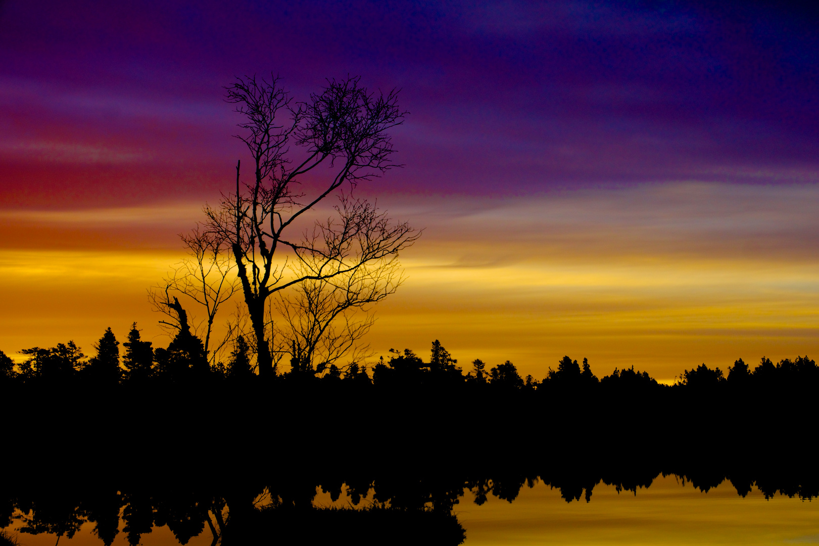 Sonnenaufgang über dem Wildesee, Kaltenbronner Hochnoor