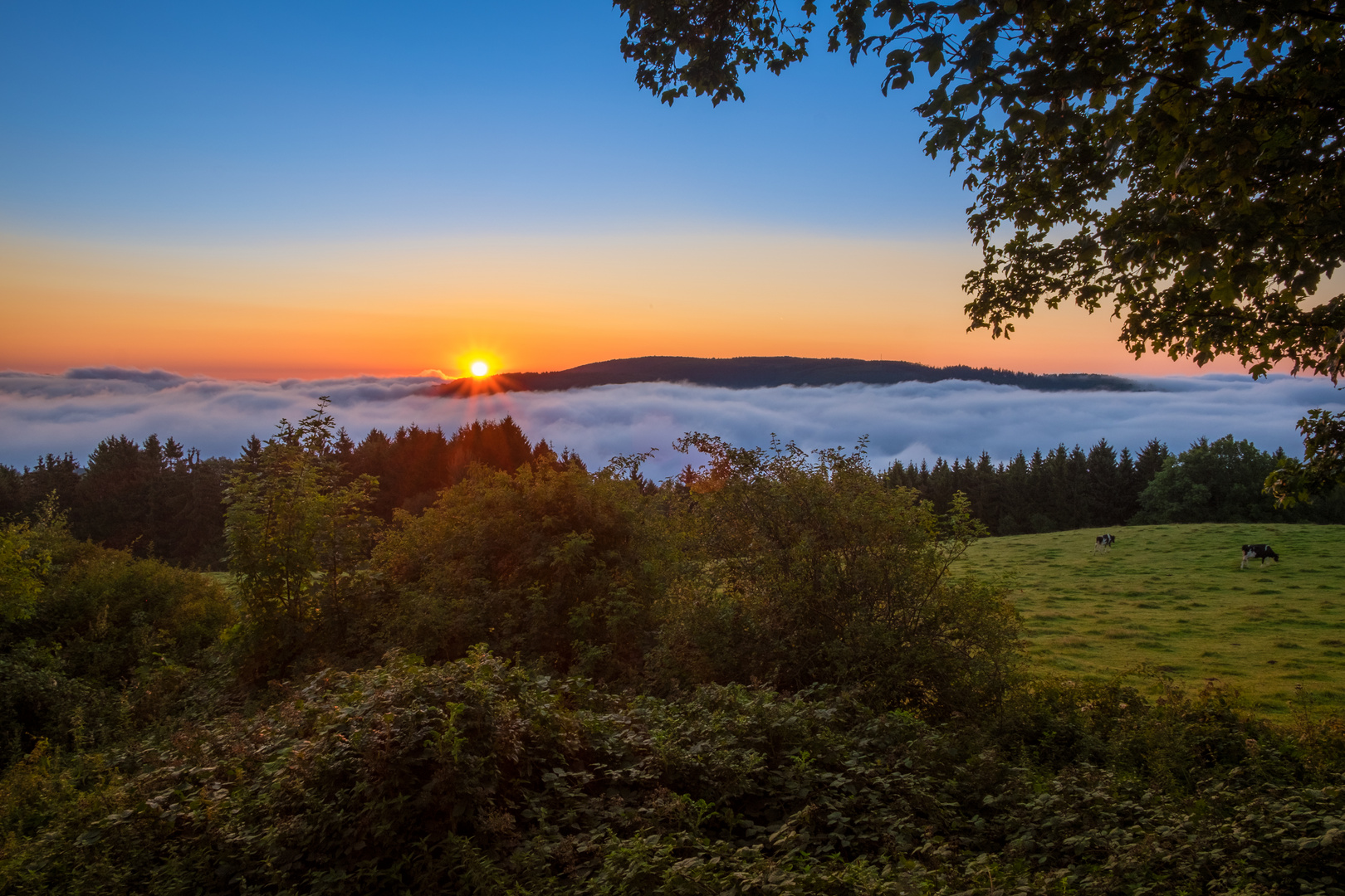 Sonnenaufgang über dem wolkenverhangenen Rursee (Eifel)