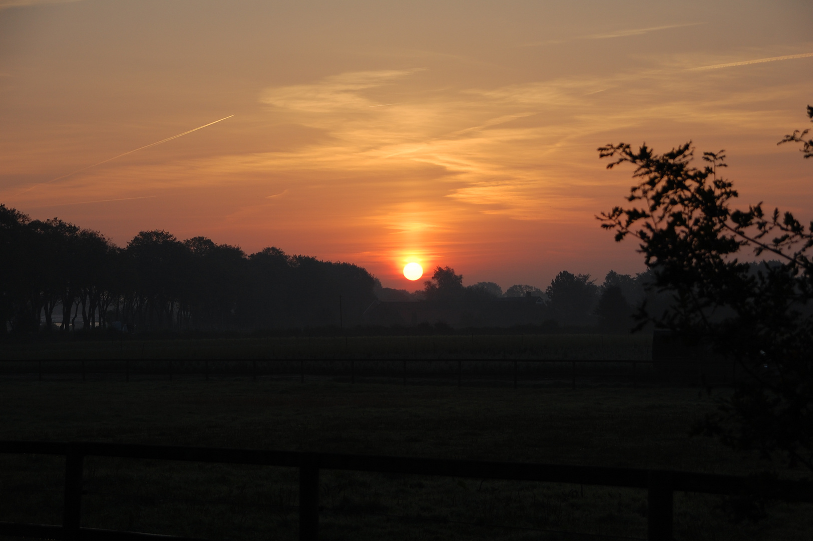Sonnenaufgang über den Baumschulen in Westerstede