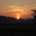 Sonnenaufgang über den Baumschulen in Westerstede