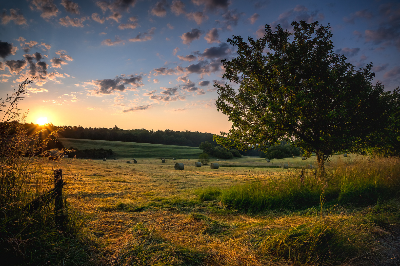 Sonnenaufgang über den Feldern