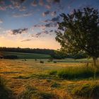 Sonnenaufgang über den Feldern