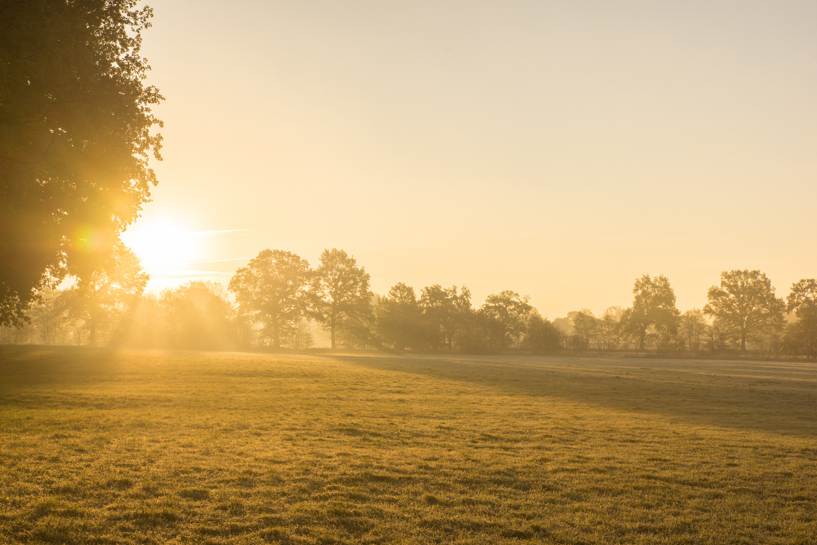 Sonnenaufgang über den Feldern