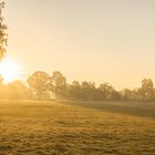 Sonnenaufgang über den Feldern