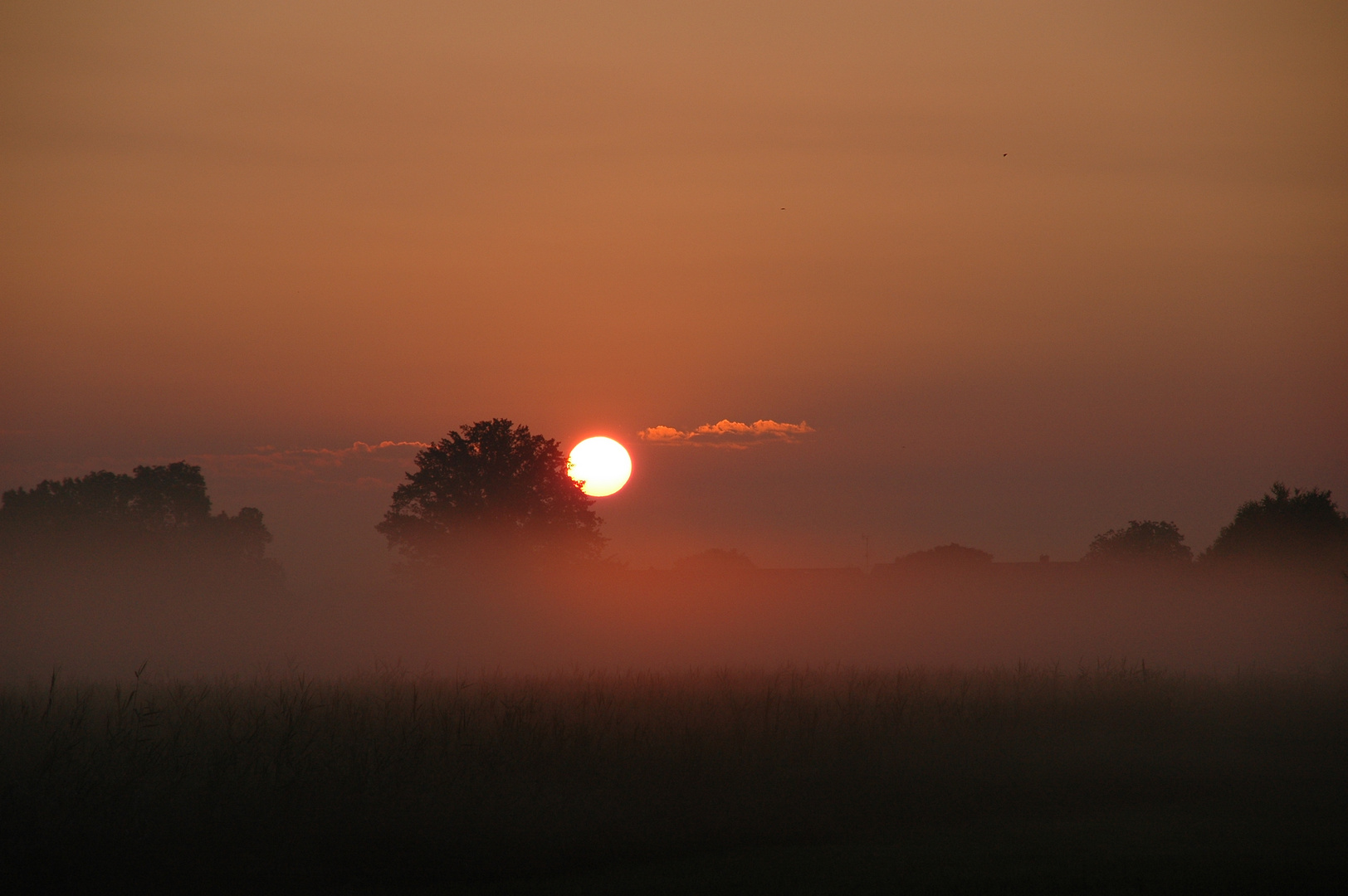 Sonnenaufgang über den Feldern am Chiemsee