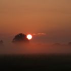 Sonnenaufgang über den Feldern am Chiemsee