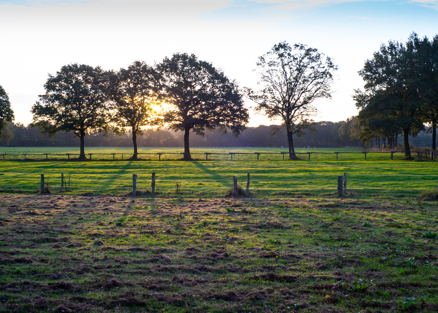 Sonnenaufgang über den Feldern