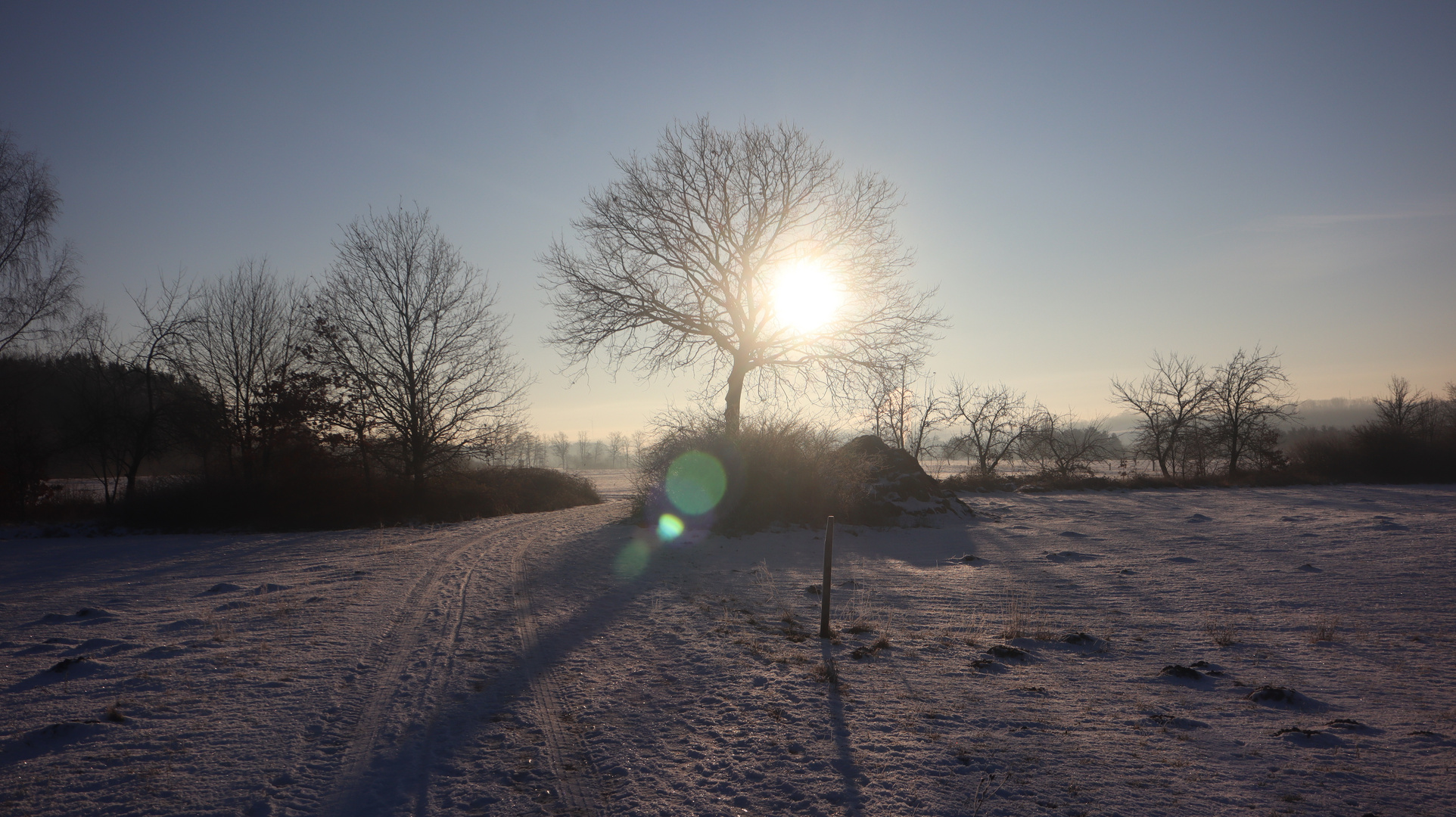 Sonnenaufgang über den Feldern