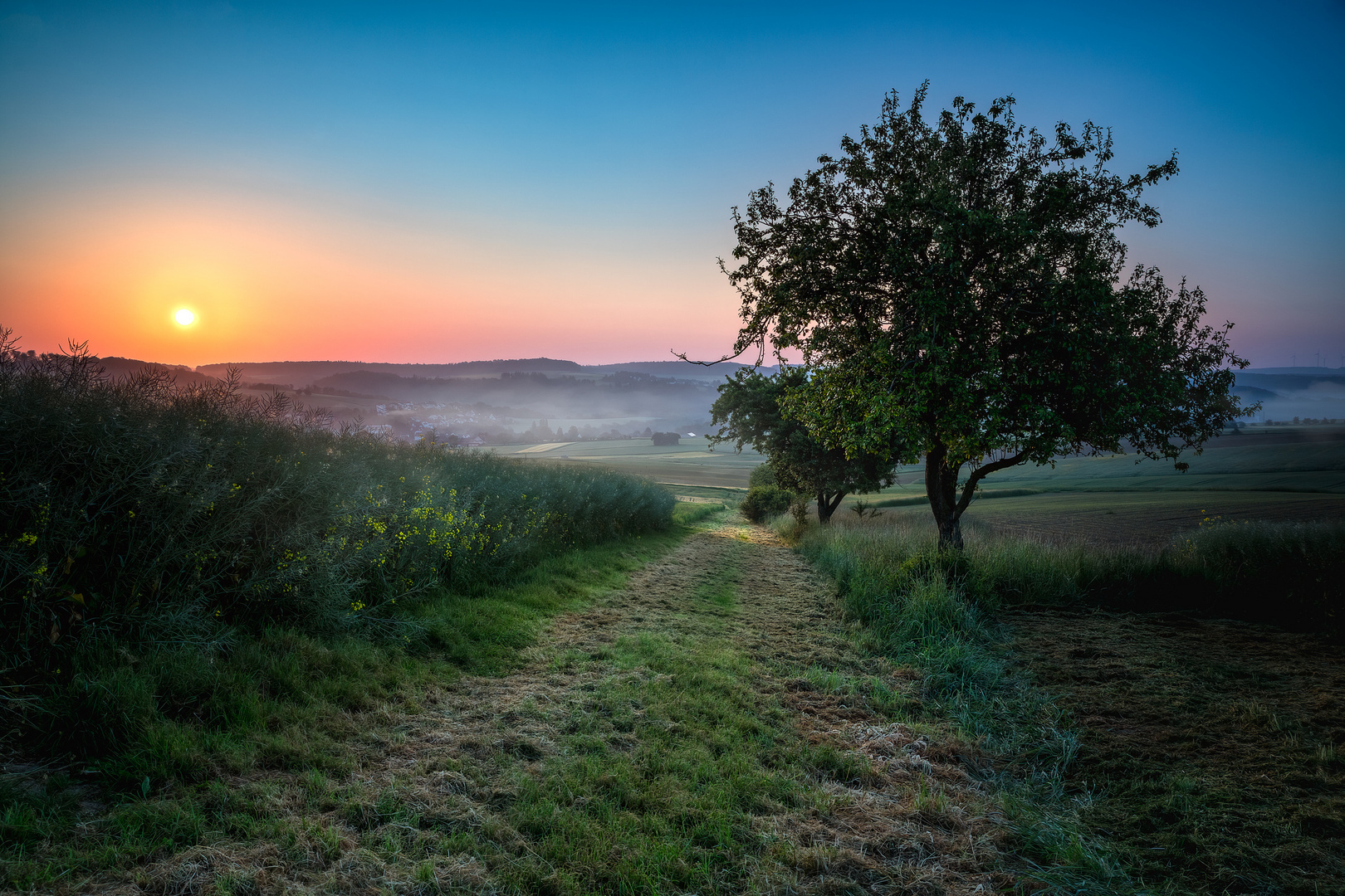 Sonnenaufgang über den Feldern