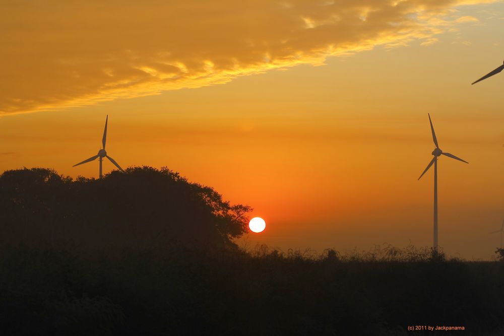 Sonnenaufgang über den Feldern von Kirchhellen