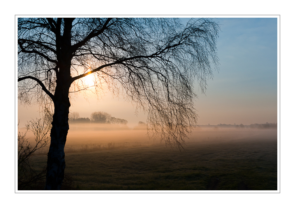 Sonnenaufgang über den Hammewiesen