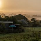 Sonnenaufgang über den Hecken