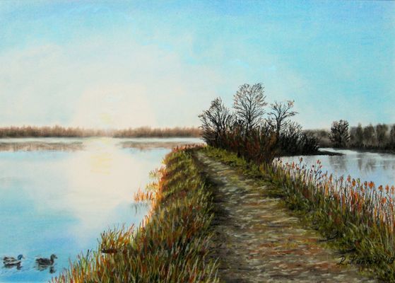 "Sonnenaufgang über den Meißendorfer Teichen"