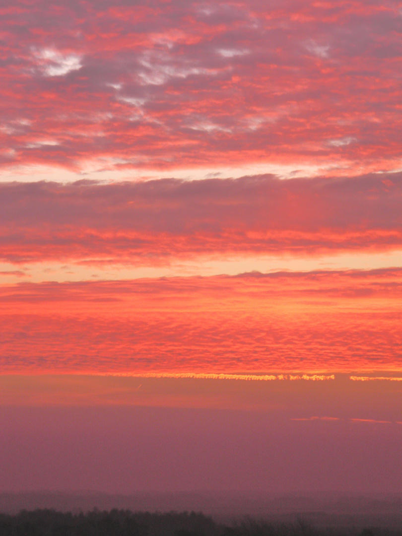 Sonnenaufgang über den Moor