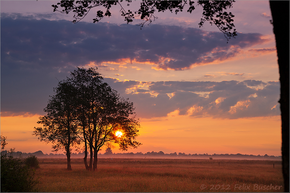 Sonnenaufgang über den Moorwiesen