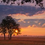 Sonnenaufgang über den Moorwiesen