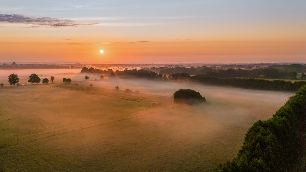 Sonnenaufgang über den Moorwiesen