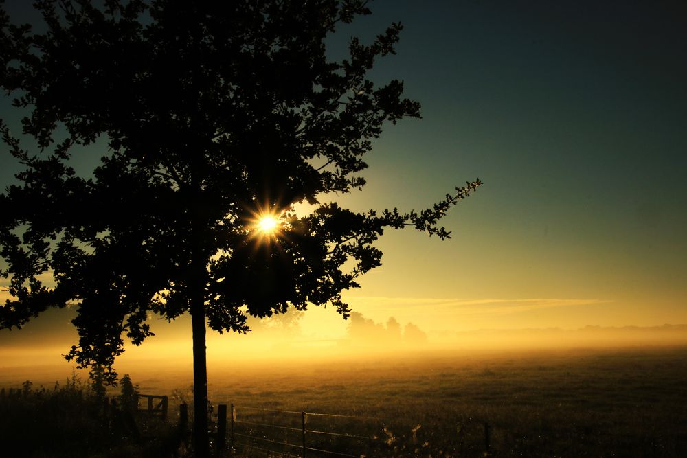 Sonnenaufgang über den Nuthewiesen