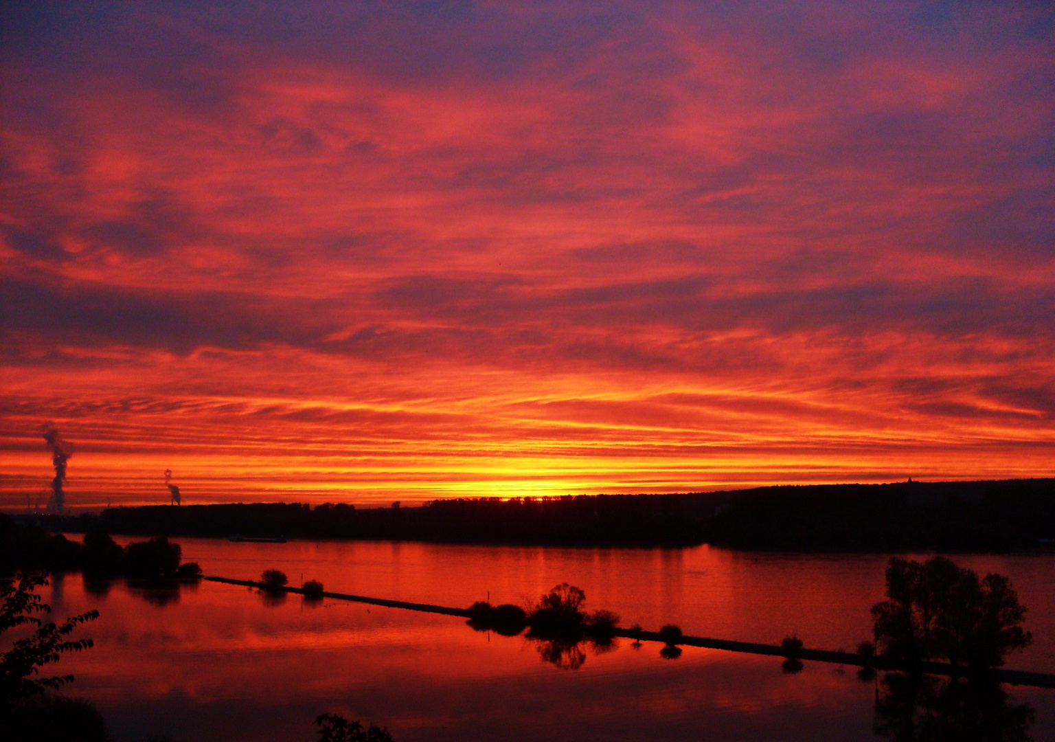 Sonnenaufgang über den Rhein