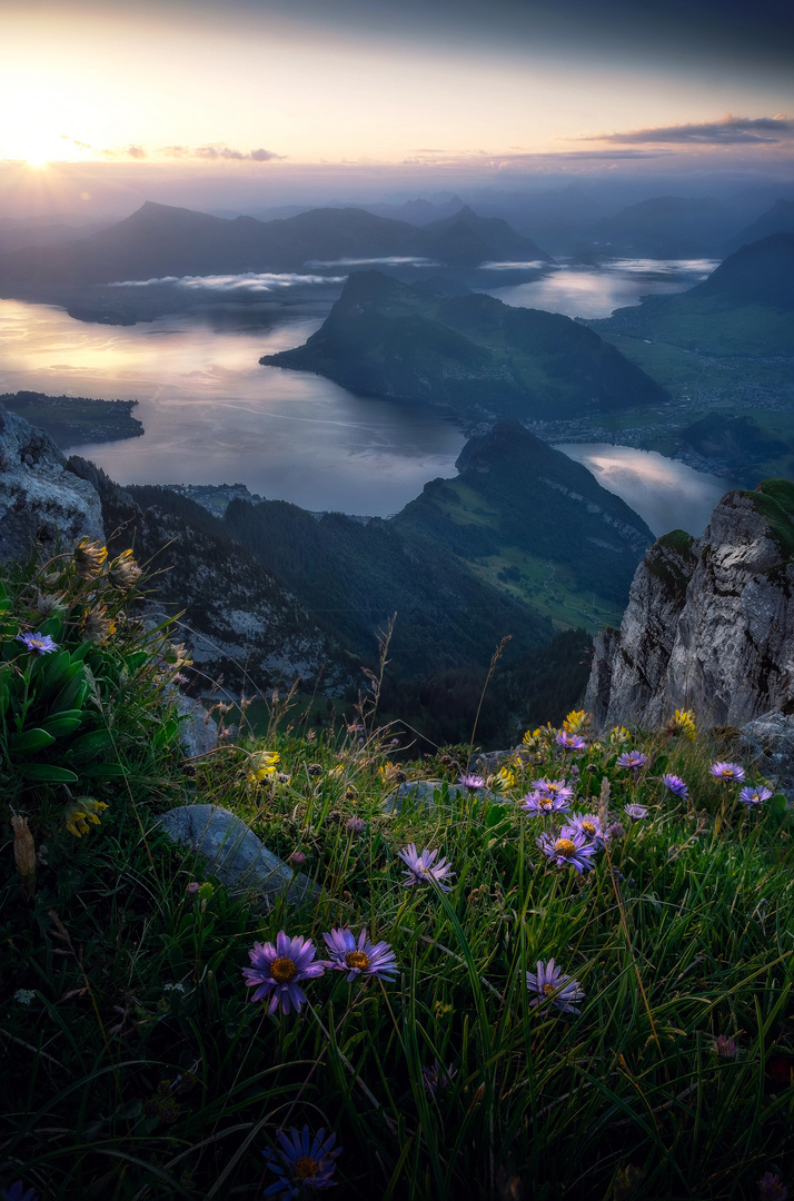 Sonnenaufgang über den Schweizer Alpen 