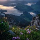 Sonnenaufgang über den Schweizer Alpen 