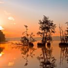 Sonnenaufgang über den Werbellinsee