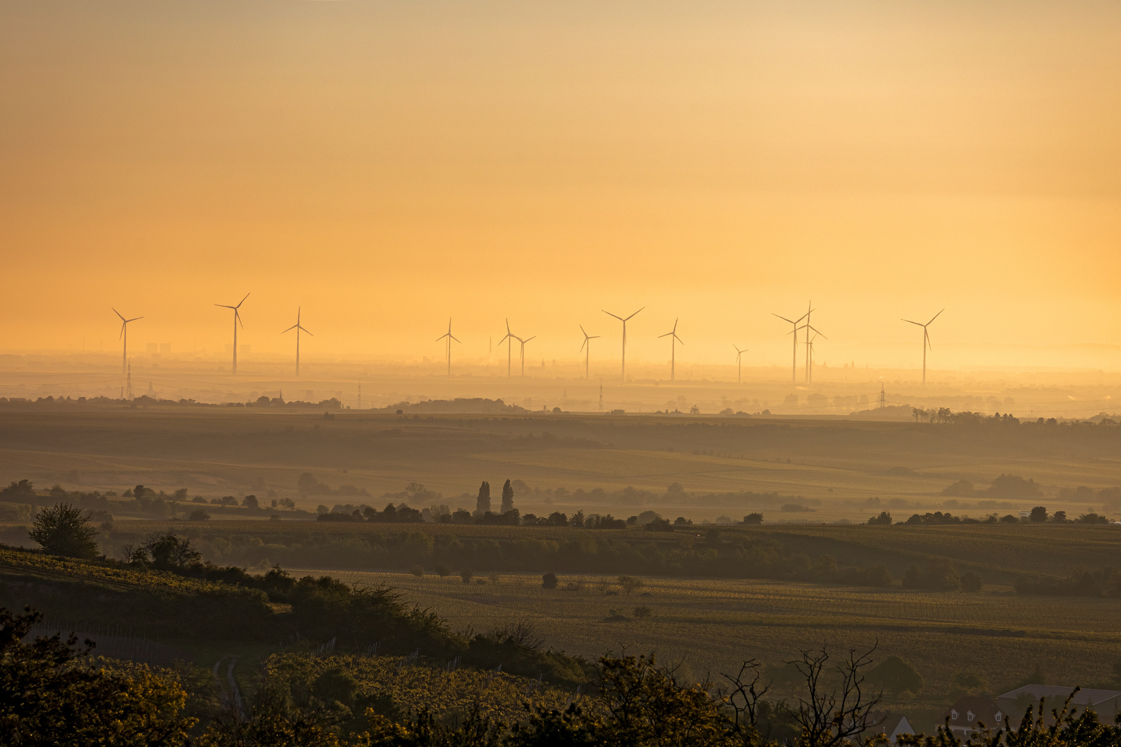 Sonnenaufgang über den Windrädern