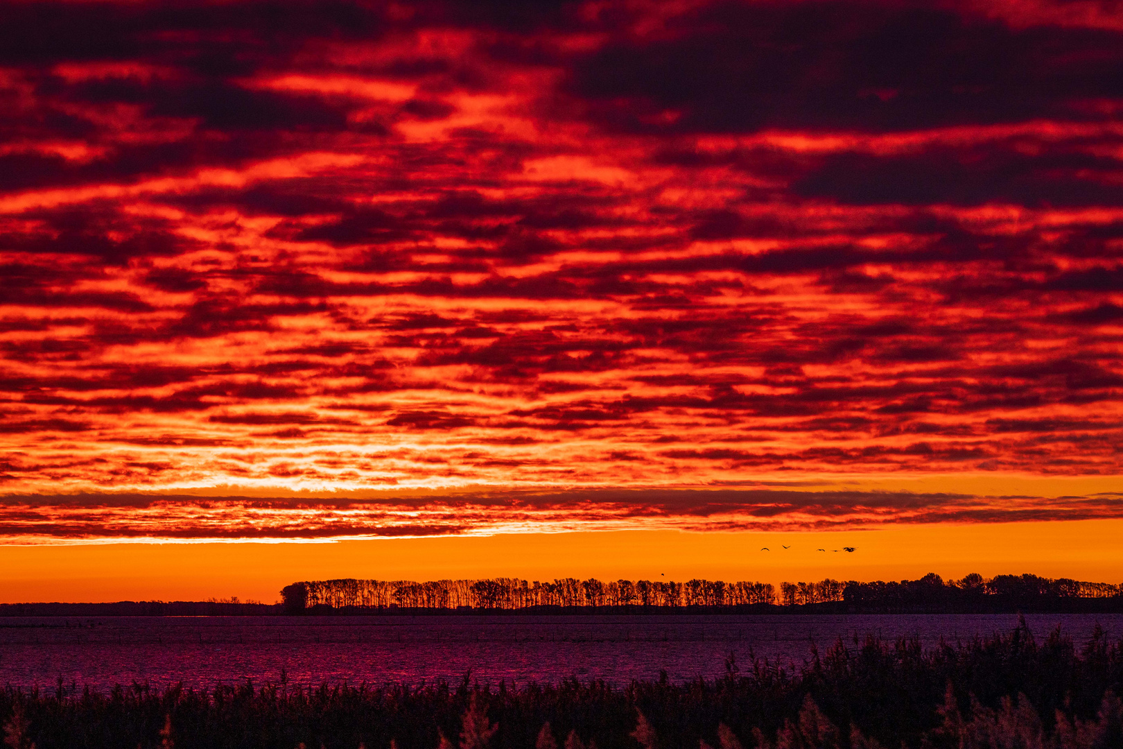 Sonnenaufgang über der...