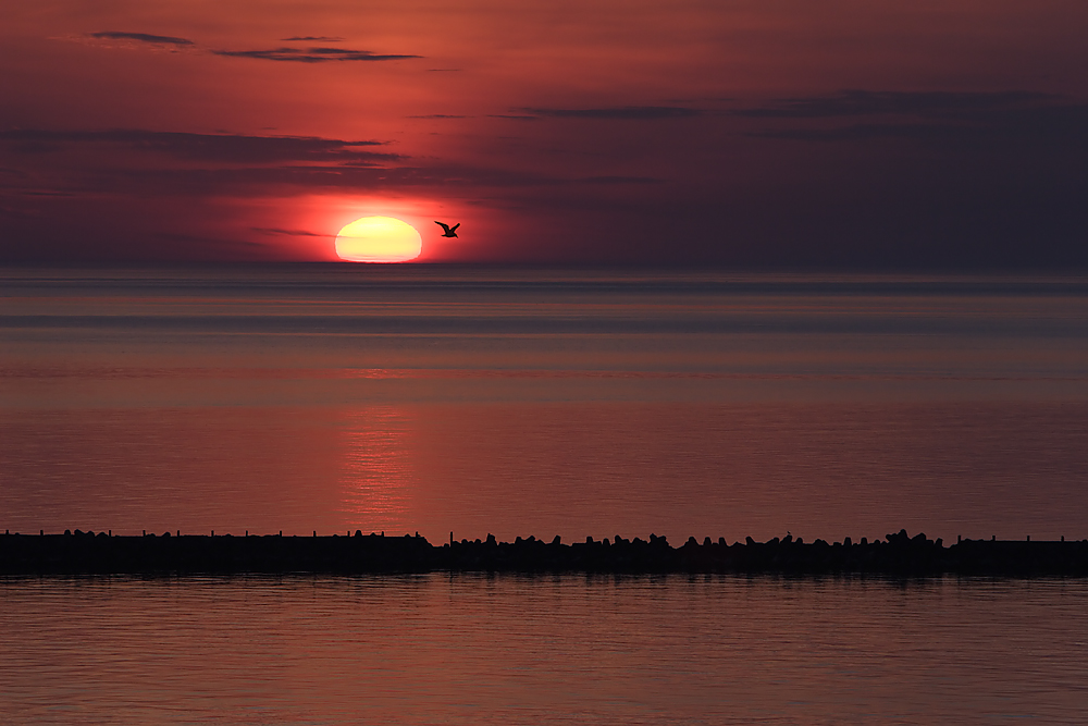 Sonnenaufgang über der Düne