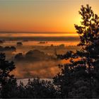 Sonnenaufgang über der Elbaue