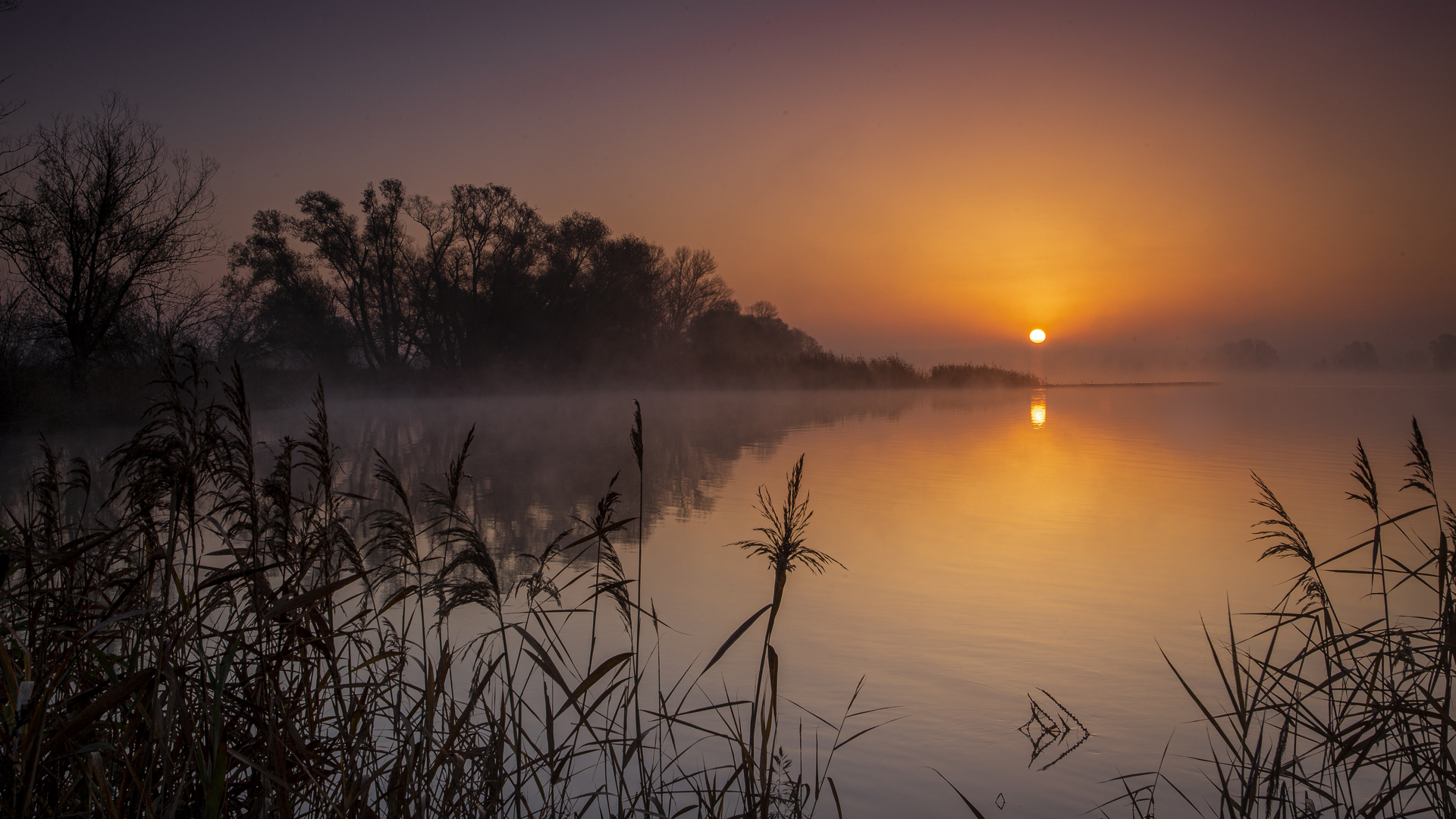 Sonnenaufgang über der Elbe