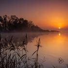 Sonnenaufgang über der Elbe