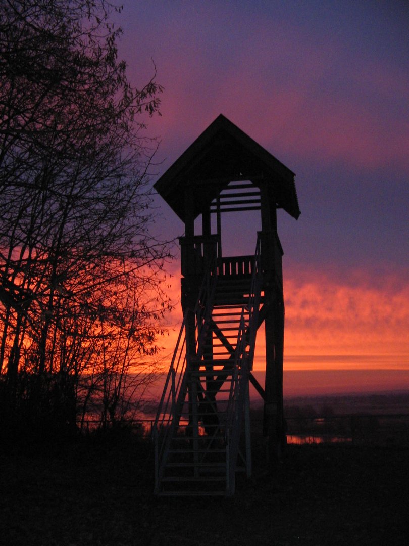 Sonnenaufgang über der Elbe