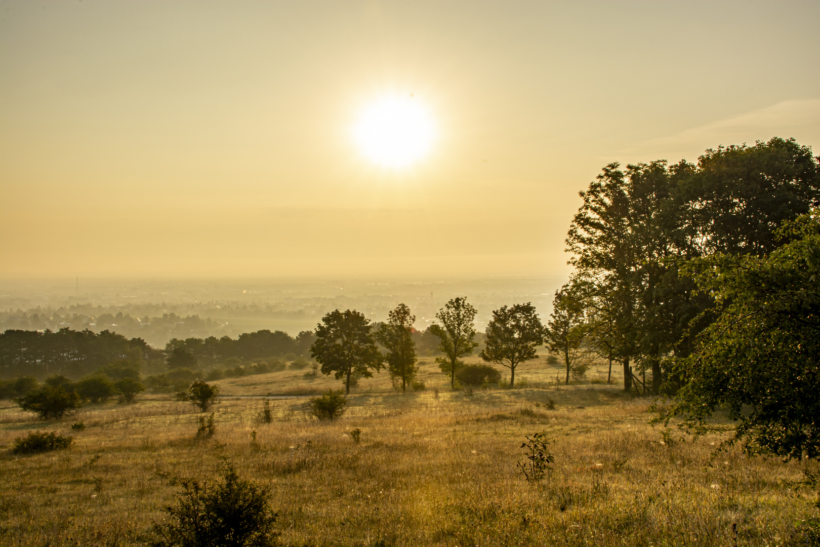 Sonnenaufgang über der Heide