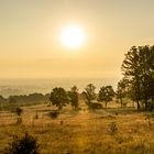 Sonnenaufgang über der Heide