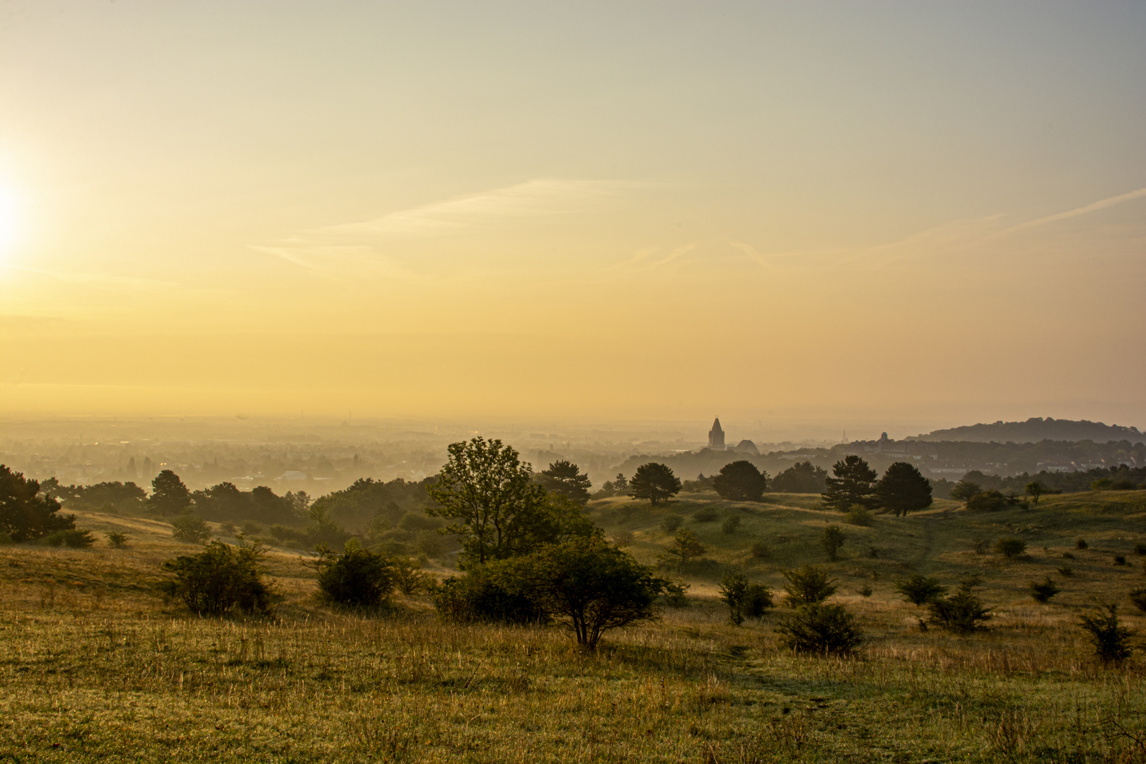 Sonnenaufgang über der Heide