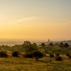 Sonnenaufgang über der Heide