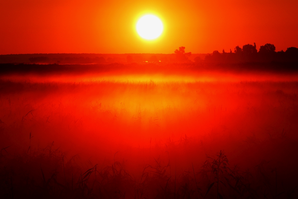 Sonnenaufgang über der Insel Usedom