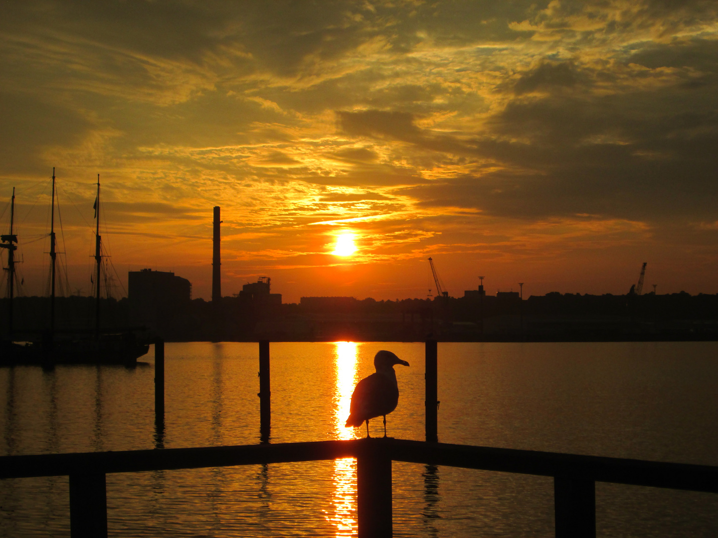 Sonnenaufgang über der Kieler Innenförde Foto & Bild | sonnenaufgänge, himmel & universum, kiel ...