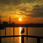 Sonnenaufgang über der Kieler Innenförde