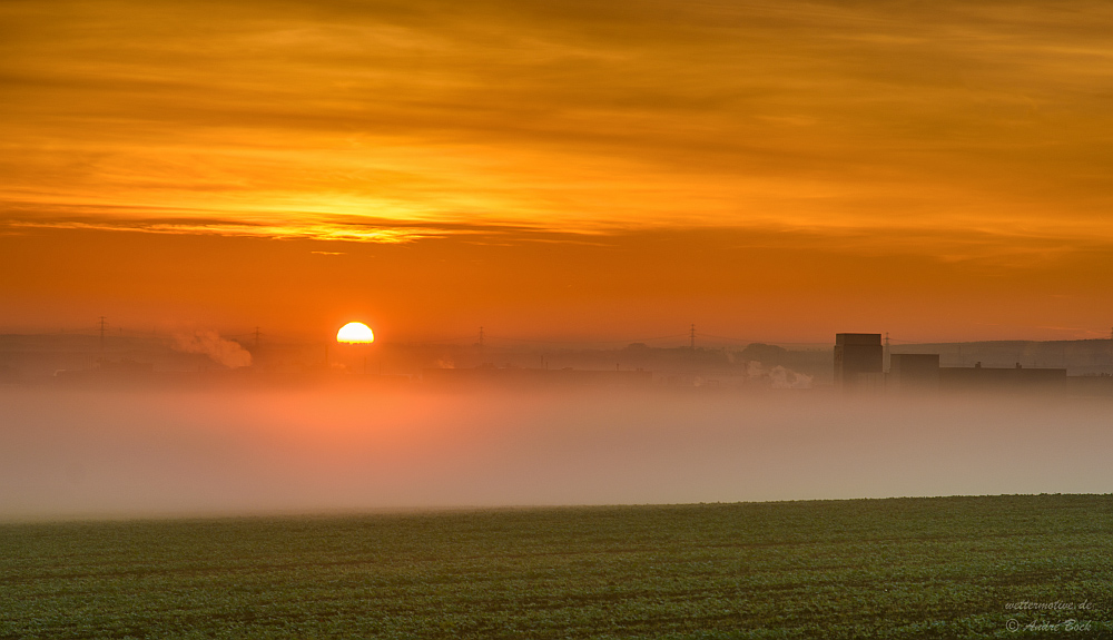 Sonnenaufgang über der Nebelbank