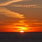 Sonnenaufgang über der Ostsee